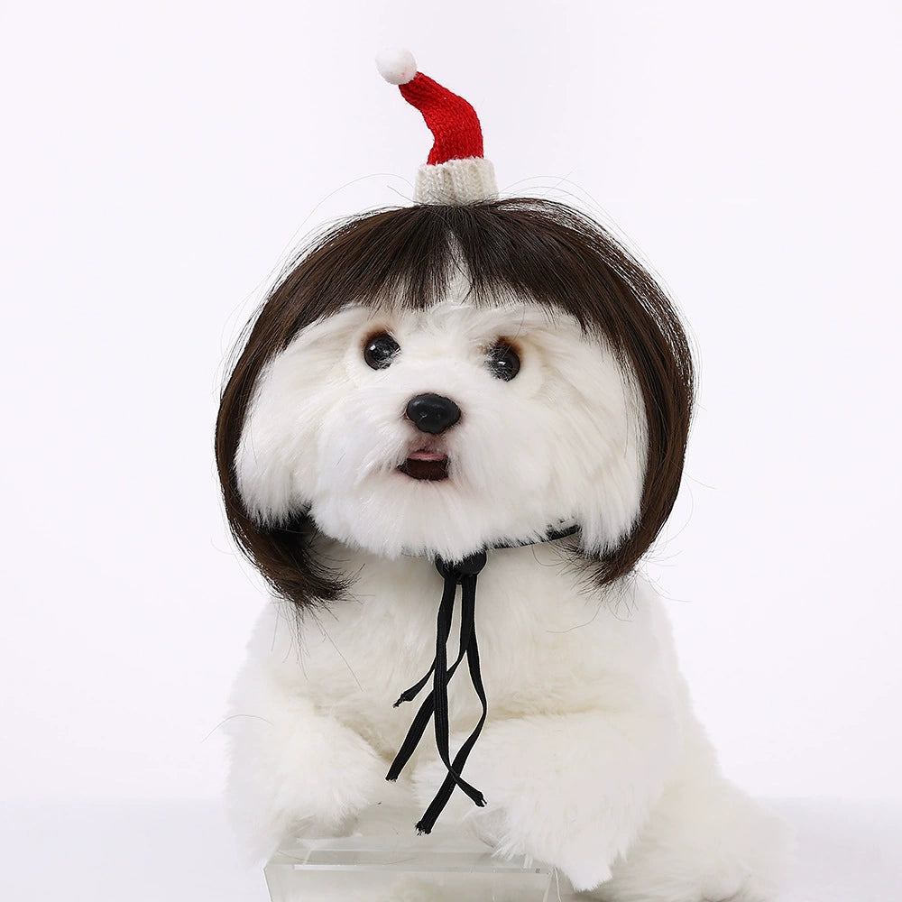 Cat wig for cat, dog wig, pet supplies,