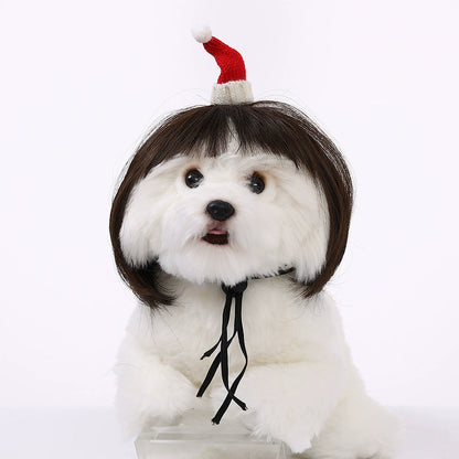 Cat wig for cat, dog wig, pet supplies,