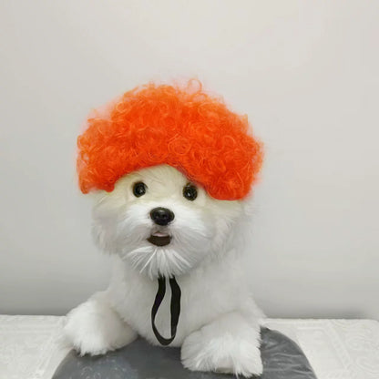 Cat wig for cat, dog wig, pet supplies,
