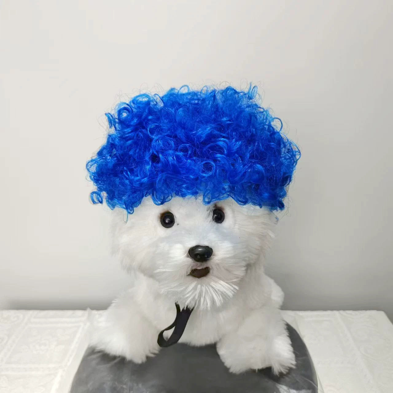 Cat wig for cat, dog wig, pet supplies,