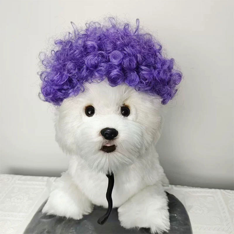 Cat wig for cat, dog wig, pet supplies,