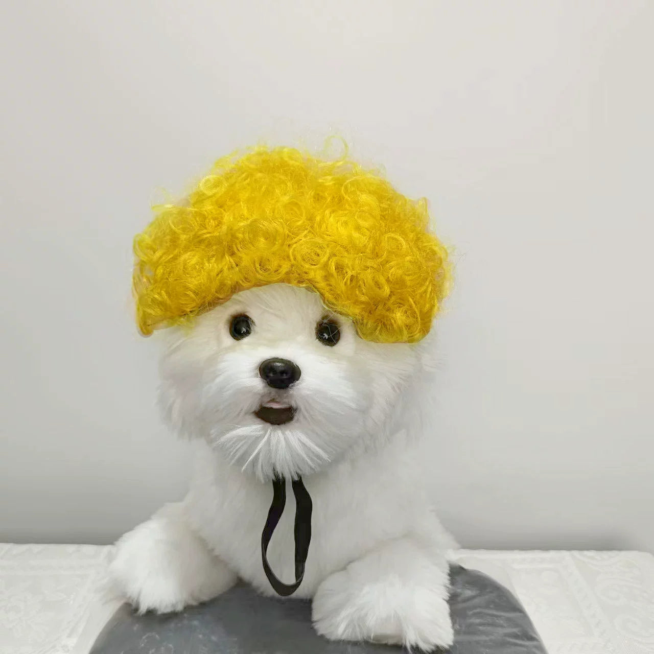 Cat wig for cat, dog wig, pet supplies,