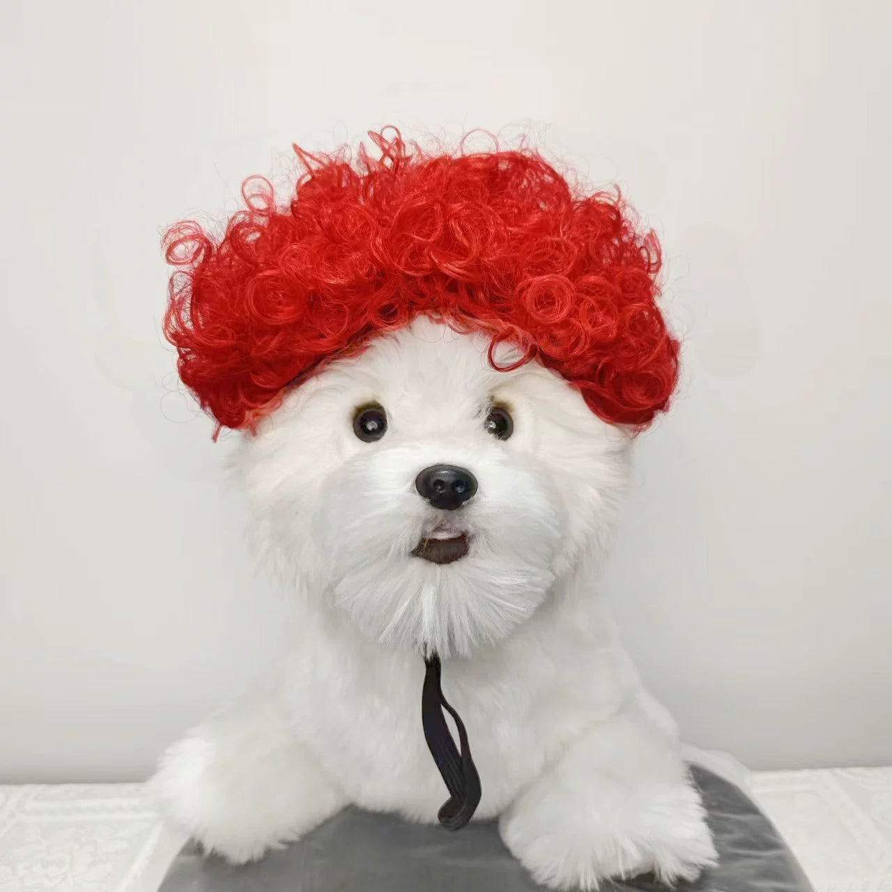 Cat wig for cat, dog wig, pet supplies,