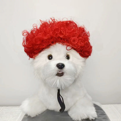 Cat wig for cat, dog wig, pet supplies,