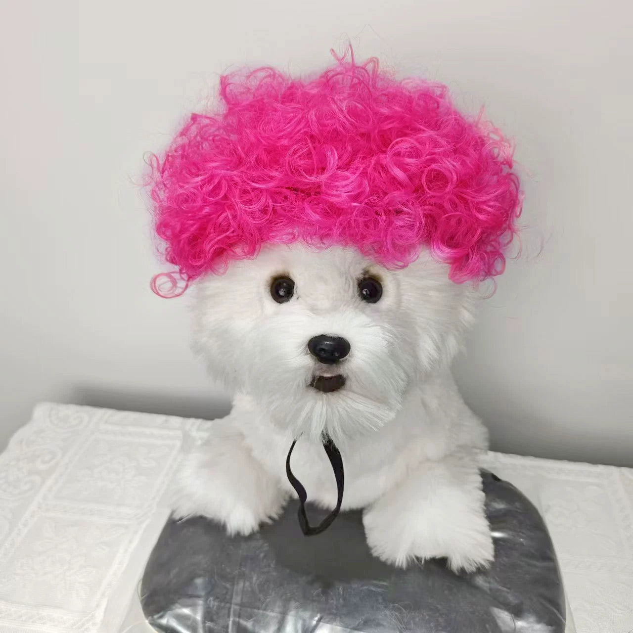 Cat wig for cat, dog wig, pet supplies,