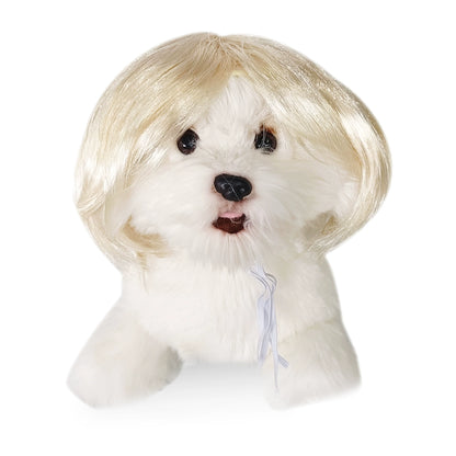 Cat wig for cat, dog wig, pet supplies,