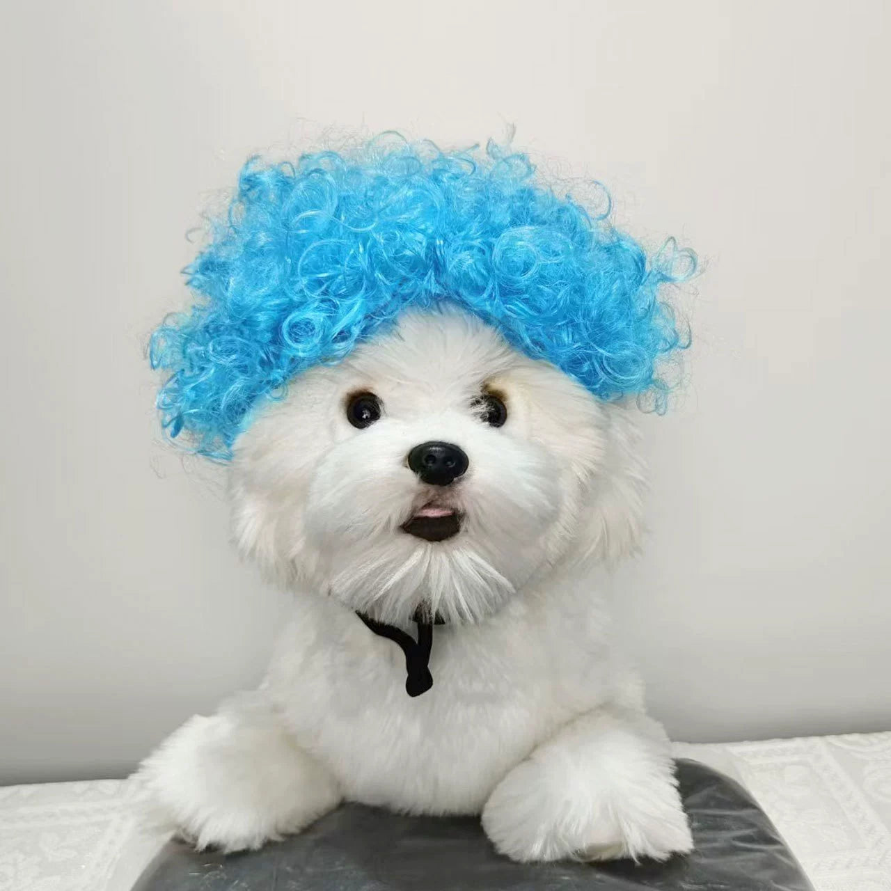 Cat wig for cat, dog wig, pet supplies,
