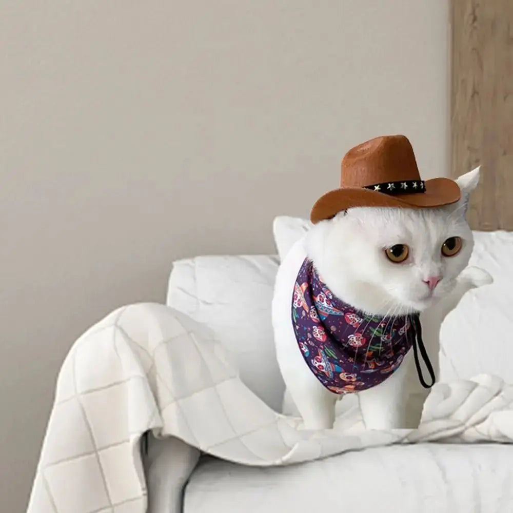 Cowboy hats for dogs and cats.