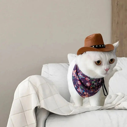 Cowboy hats for dogs and cats.
