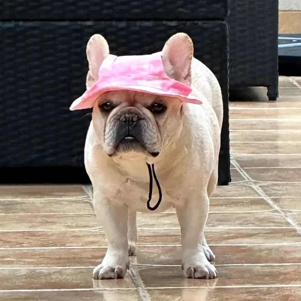 Cute hats for bulldogs with holes for the ears