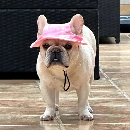 Cute hats for bulldogs with holes for the ears