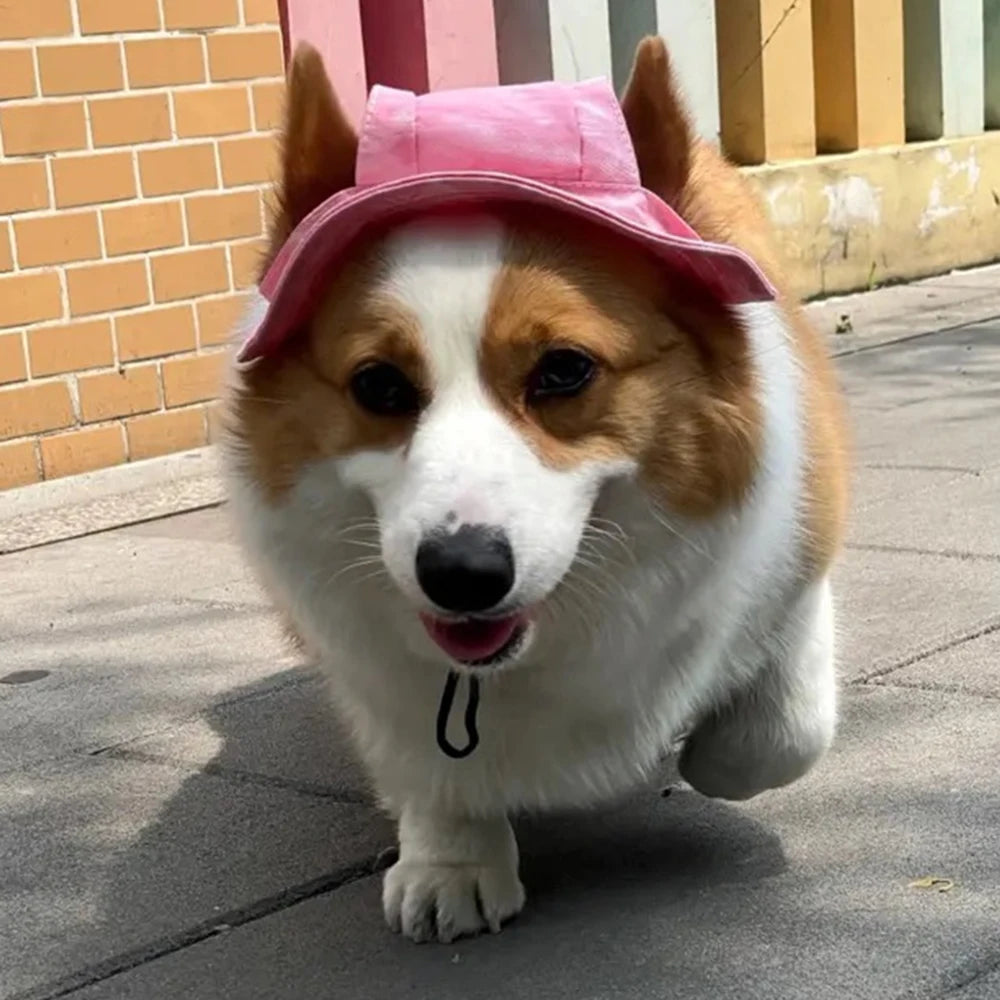 Cute hats for bulldogs with holes for the ears