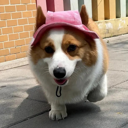 Cute hats for bulldogs with holes for the ears