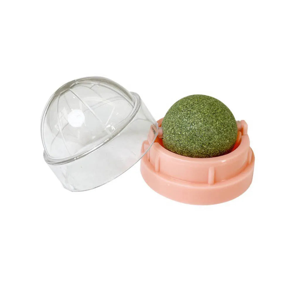 The Sticky Ball Toy for Cats Catnip