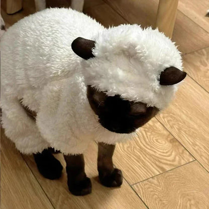 Winter Sphynx Cat Clothes Thickened Warm Four-legged Pullover Cat Coat Lamb Double-sided