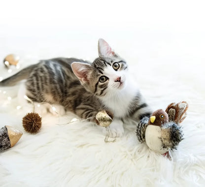 Teasing toys for cats with feathers and catnip.