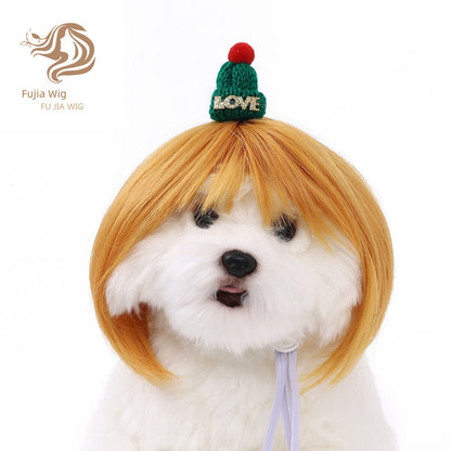 Cat wig for cat, dog wig, pet supplies,