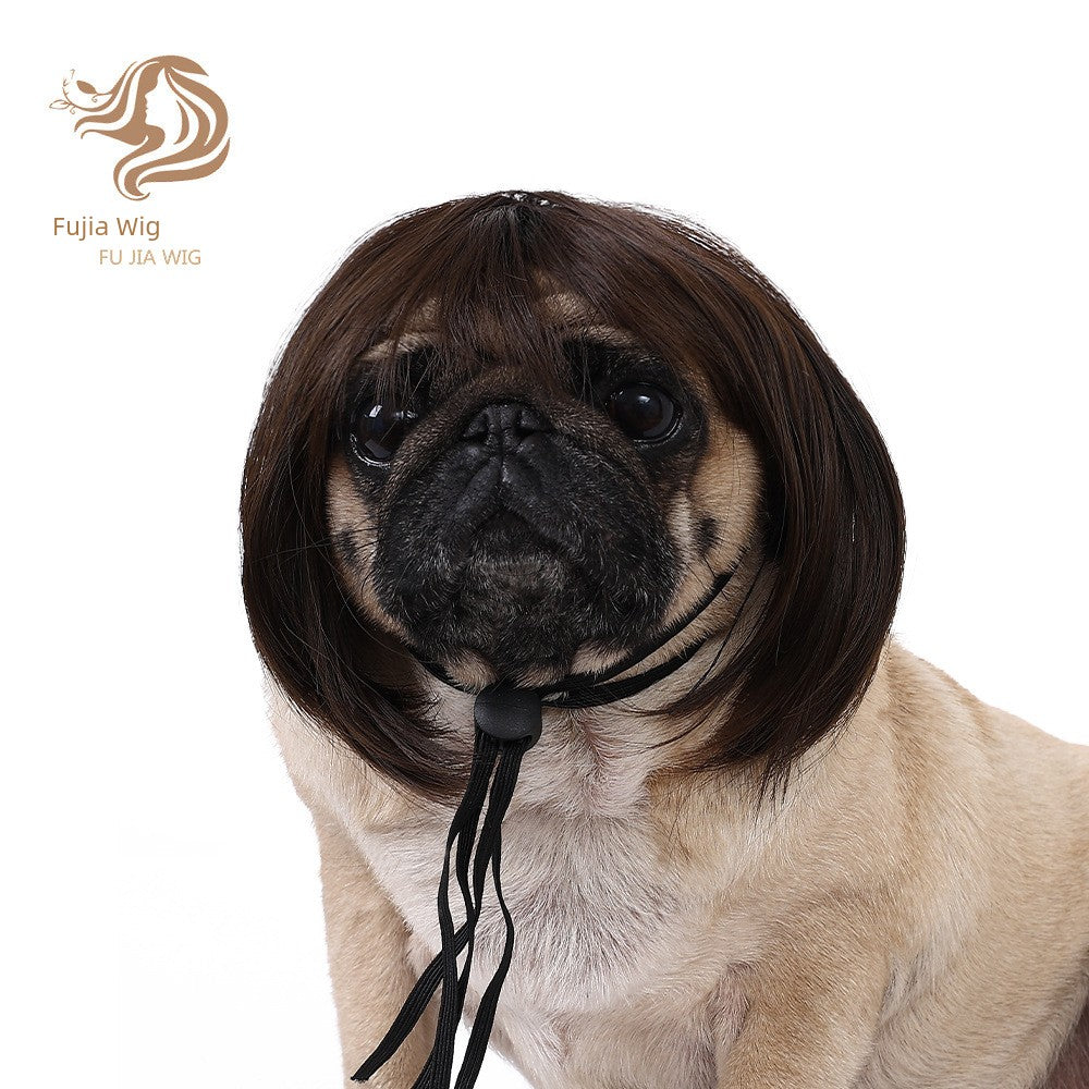 Cat wig for cat, dog wig, pet supplies,