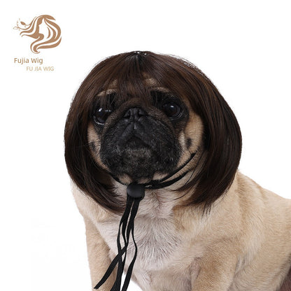 Cat wig for cat, dog wig, pet supplies,
