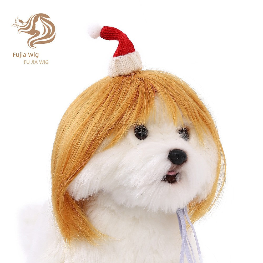 Cat wig for cat, dog wig, pet supplies,