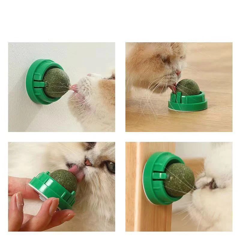 The Sticky Ball Toy for Cats Catnip