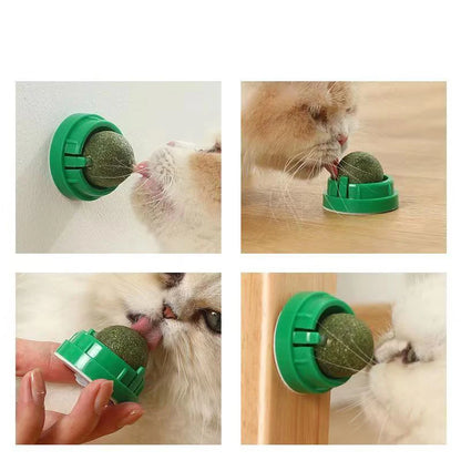 The Sticky Ball Toy for Cats Catnip