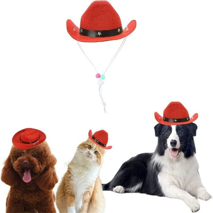 Cowboy hat costume for dogs, set of bandanas for dogs.