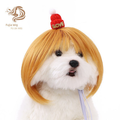 Cat wig for cat, dog wig, pet supplies,