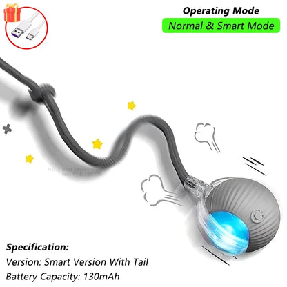 Rechargeable interactive toy for pets - automatic rolling ball with a tail.