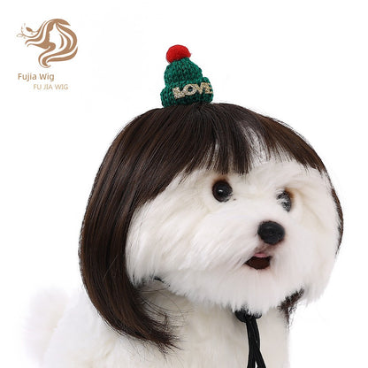 Cat wig for cat, dog wig, pet supplies,