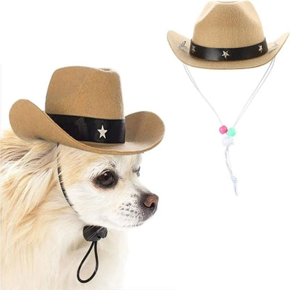 Cowboy hat costume for dogs, set of bandanas for dogs.