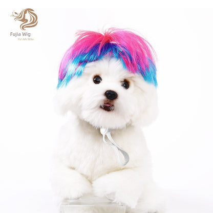 Cat wig for cat, dog wig, pet supplies,