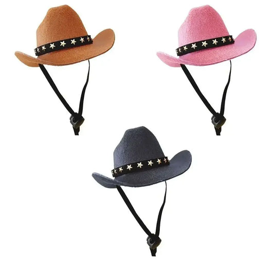 Cowboy hats for dogs and cats.