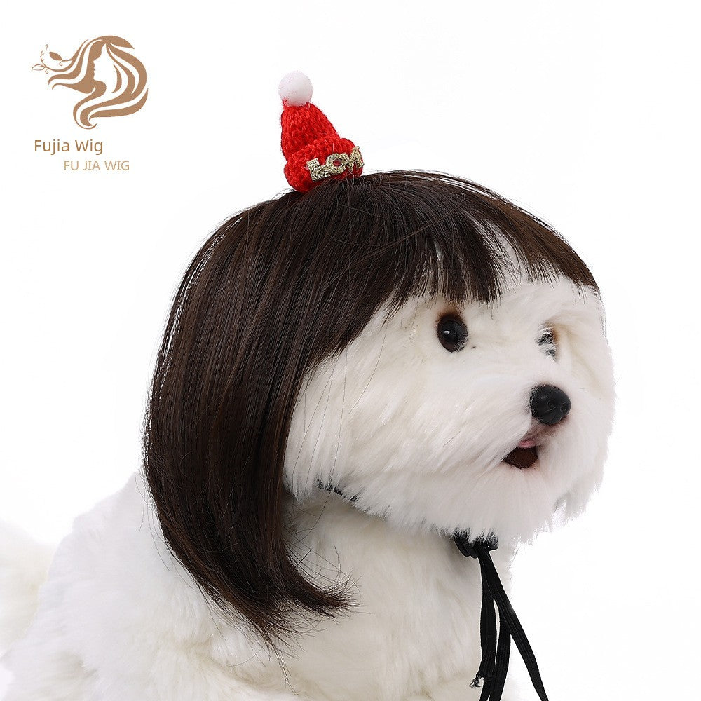 Cat wig for cat, dog wig, pet supplies,