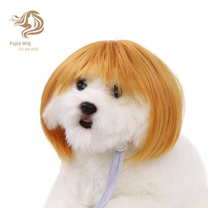 Cat wig for cat, dog wig, pet supplies,