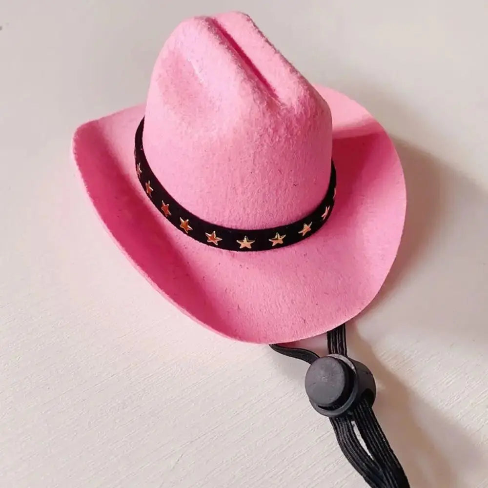 Cowboy hats for dogs and cats.