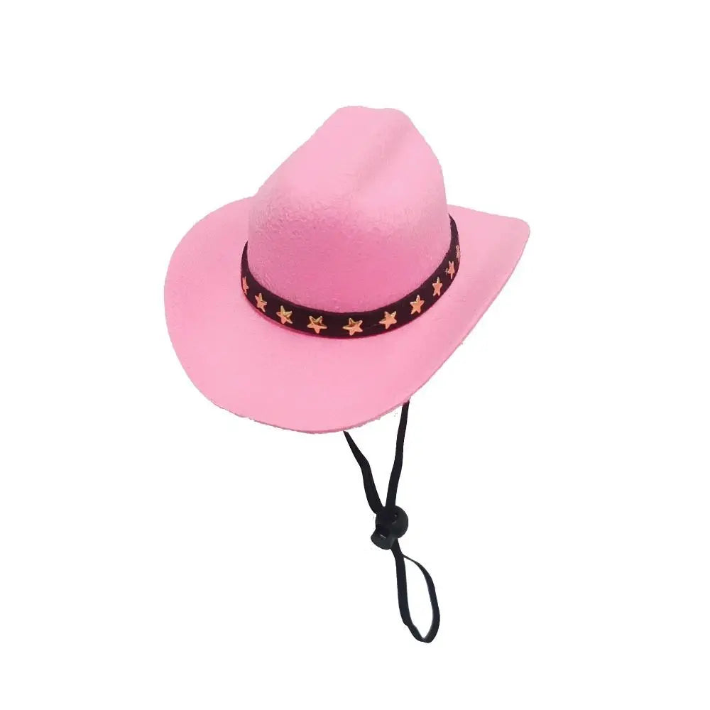 Cowboy hats for dogs and cats.