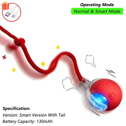 Rechargeable interactive toy for pets - automatic rolling ball with a tail.