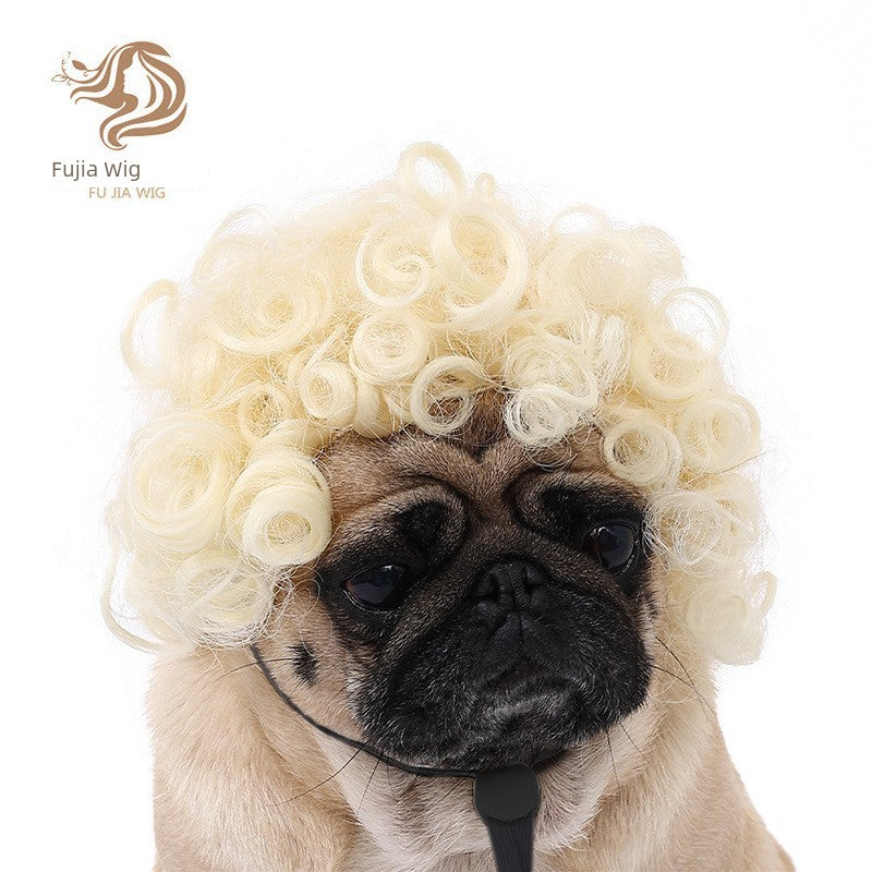 Cat wig for cat, dog wig, pet supplies,