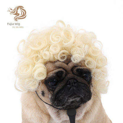 Cat wig for cat, dog wig, pet supplies,