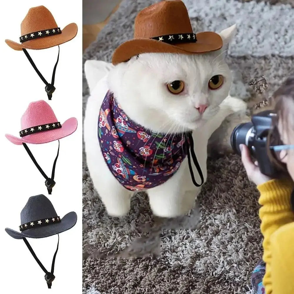 Cowboy hats for dogs and cats.