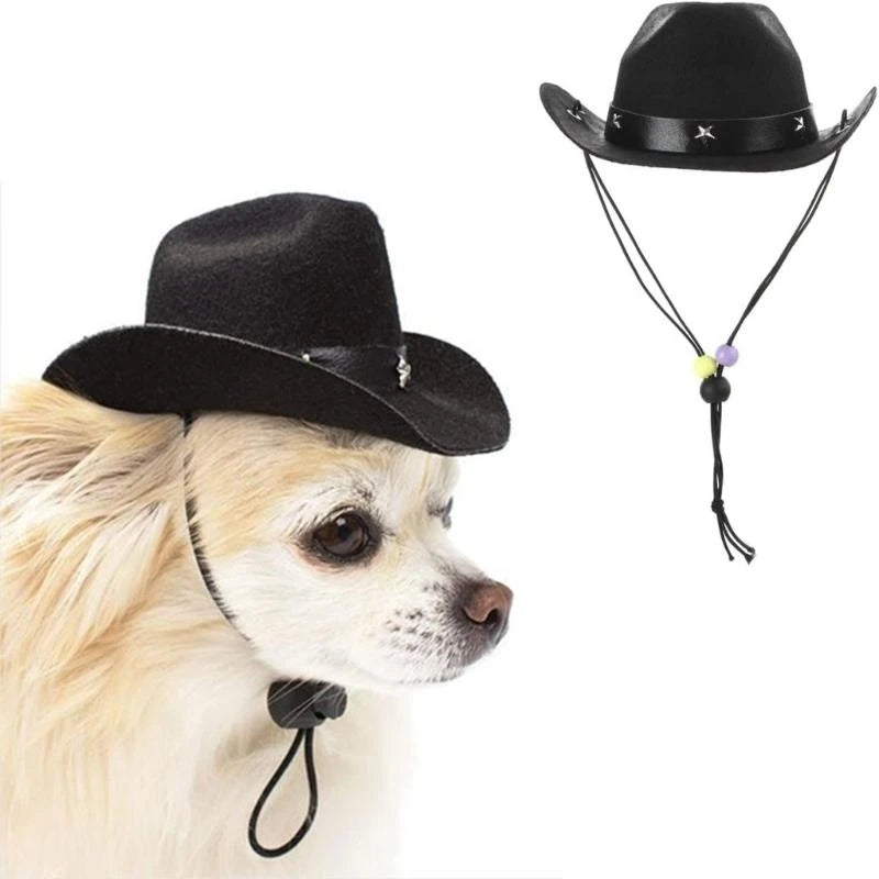 Cowboy hat costume for dogs, set of bandanas for dogs.