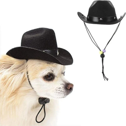 Cowboy hat costume for dogs, set of bandanas for dogs.
