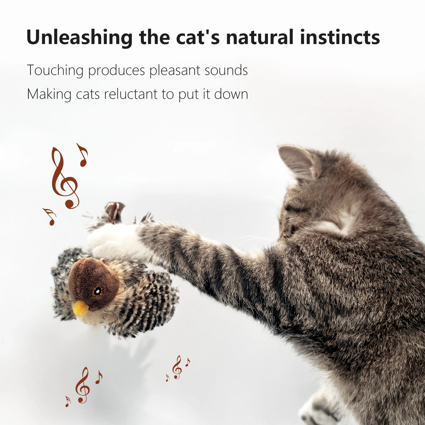 Teasing toys for cats with feathers and catnip.