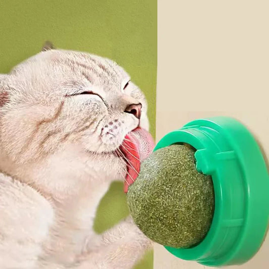 The Sticky Ball Toy for Cats Catnip