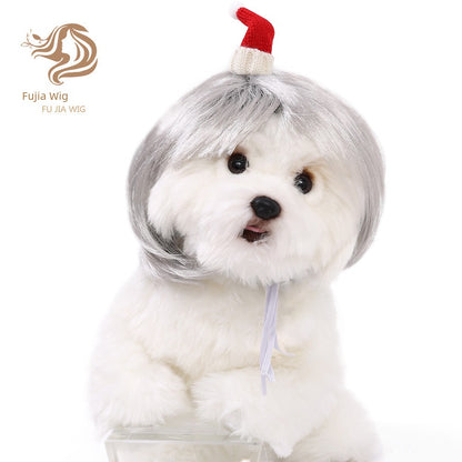 Cat wig for cat, dog wig, pet supplies,