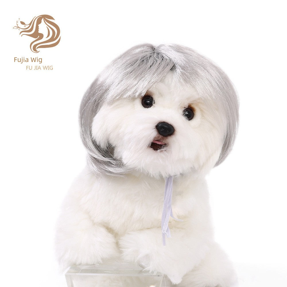 Cat wig for cat, dog wig, pet supplies,