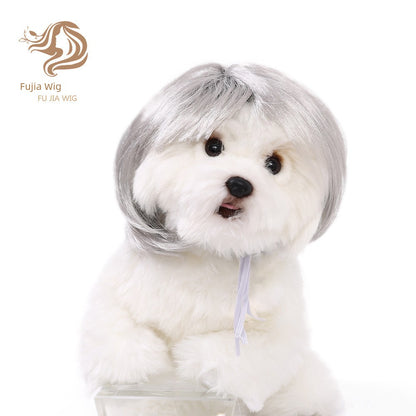 Cat wig for cat, dog wig, pet supplies,