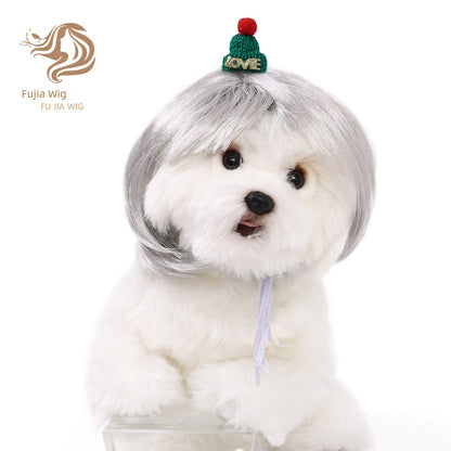 Cat wig for cat, dog wig, pet supplies,
