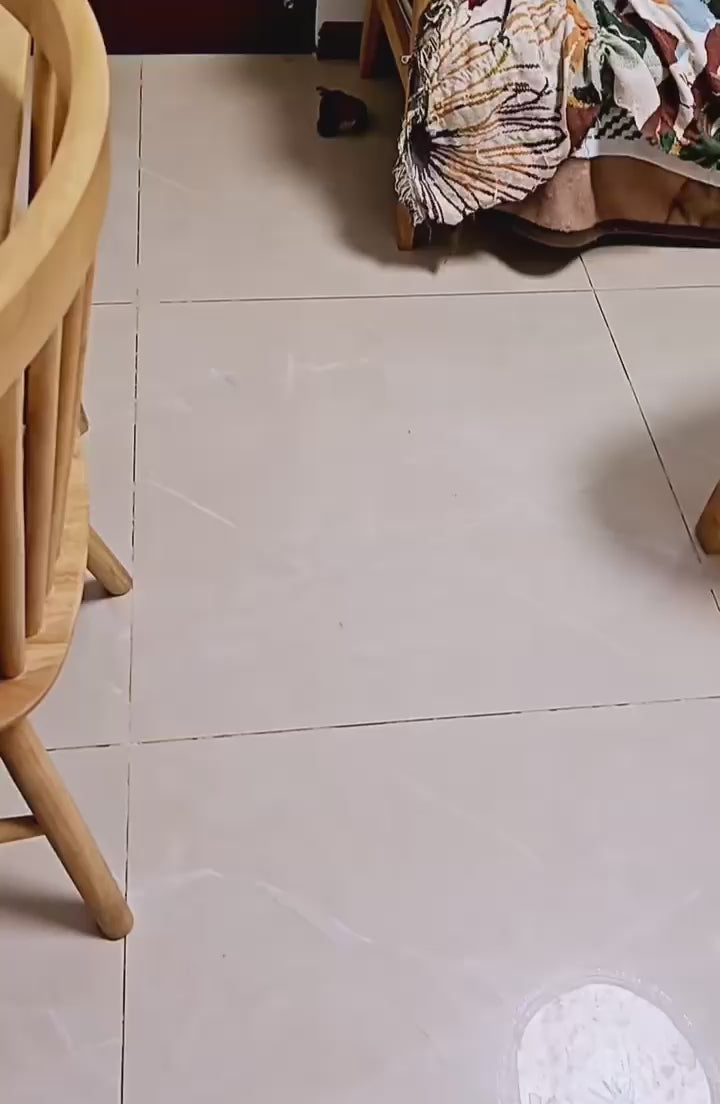 Load video: Cat vs Bird Toy: Let the Chase Begin!